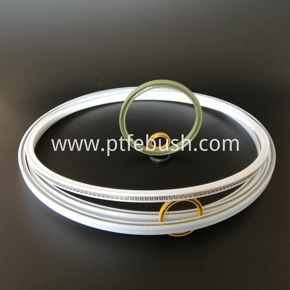 Ptfe Spring Seal